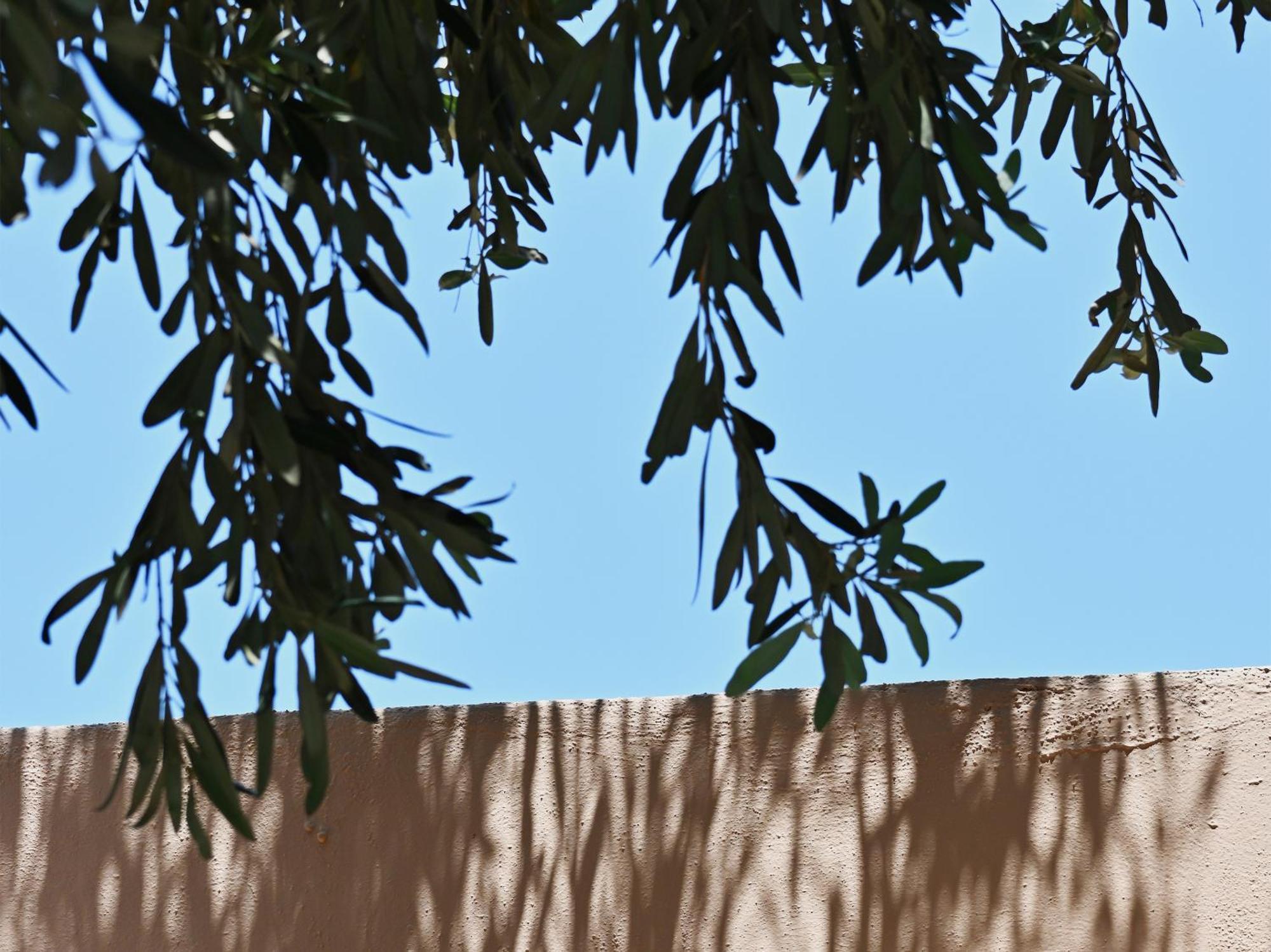 Cape Sounio, A Grecotel Resort To Live Sunion Exteriör bild